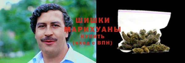 винт Богданович