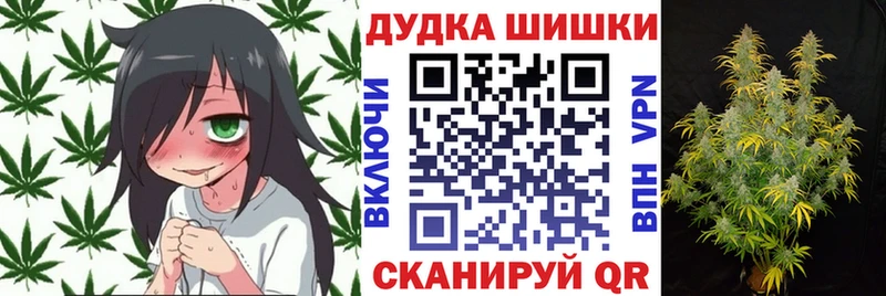 МАРИХУАНА план Северск
